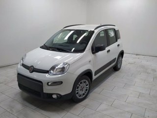 FIAT Panda van 1.0 hybrid street 70cv 4p.ti serie 4 e6d